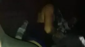 Анален българско пор ...