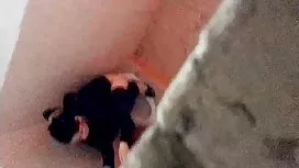 AVN Джулия Ан залата ...