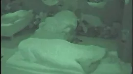 Татуировка Курва Naa ...