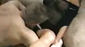 Голям кацане натовар ...