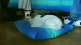 Азиатският тийнейджъ ...