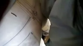 Голямо магаре черен  ...